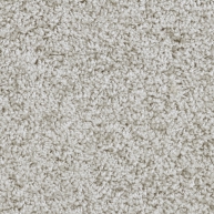 Фортуна 003.jpg